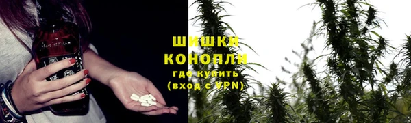 скорость Алзамай