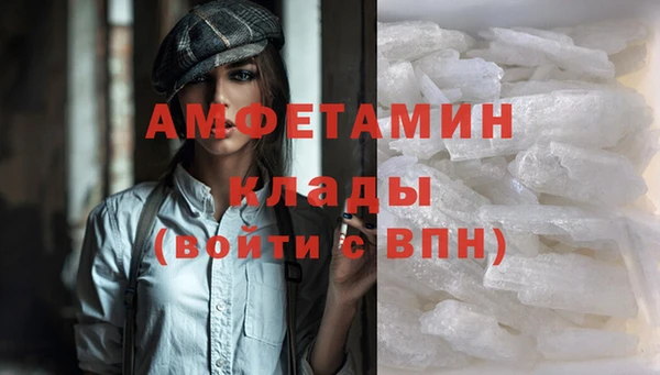 гидра Новодвинск