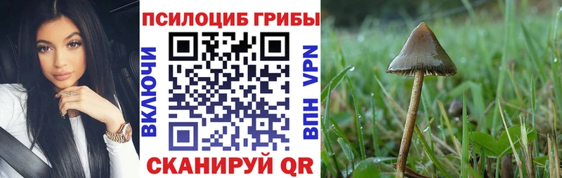 Псилоцибиновые грибы MAGIC MUSHROOMS  как найти   Нерехта 